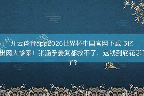 开云体育app2026世界杯中国官网下载 5亿砸出网大惨案！张涵予姜武都救不了，这钱到底花哪了？