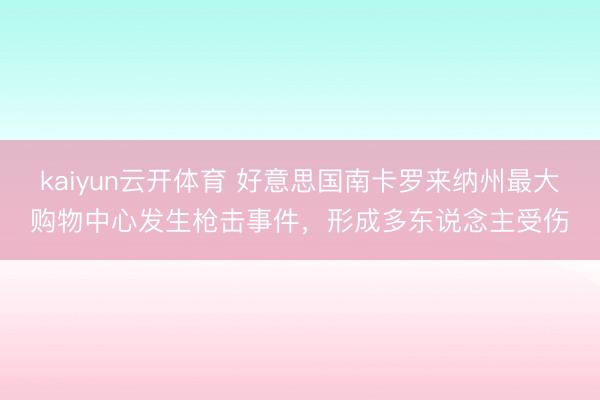 kaiyun云开体育 好意思国南卡罗来纳州最大购物中心发生枪击事件，形成多东说念主受伤